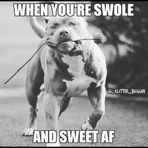 Meet your Posher, Joseph